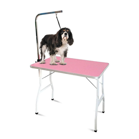 Pet Grooming Table 90cm Single Pole