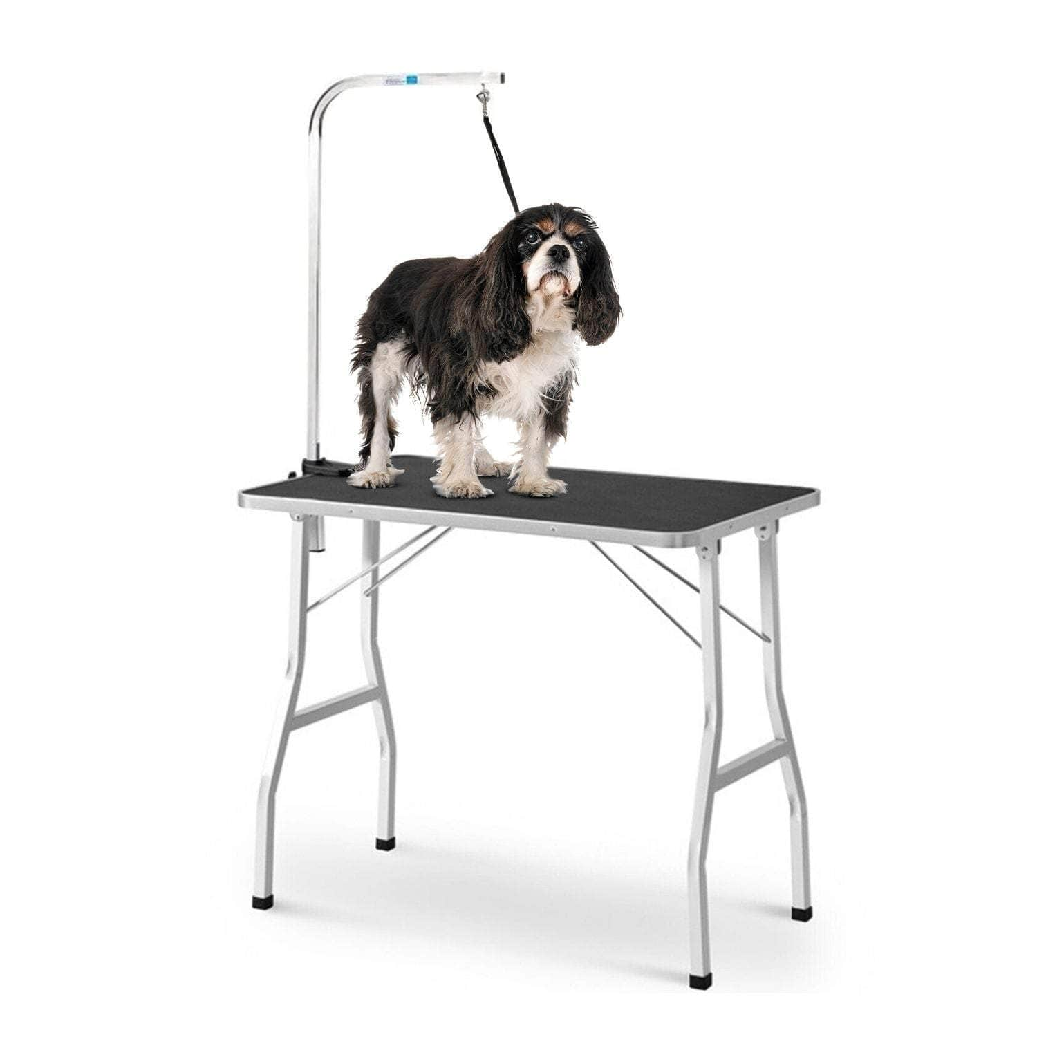 Pet Grooming Table 90cm Single Pole