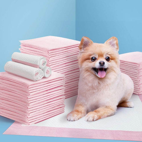 Pet Training Pads 400 Puppy Dog Cat Toilet Indoor 60X60Cm Super Absorbent