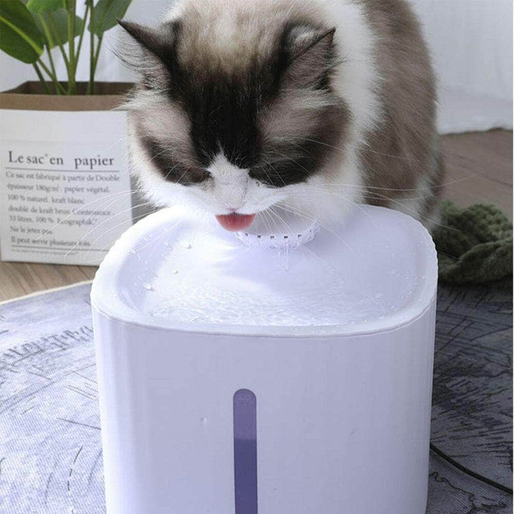 Pet Water Fountain Dispenser Led Usb 3L