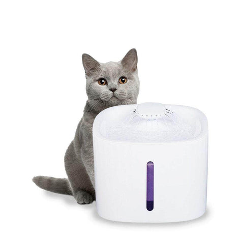 Pet Water Fountain Dispenser Led Usb 3L