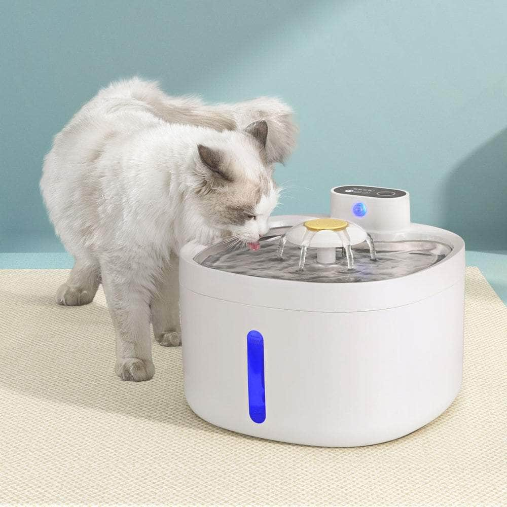 Pet Water Fountain Feeder Dispenser Filter Dog Cat Drinking Automatic 2.6L