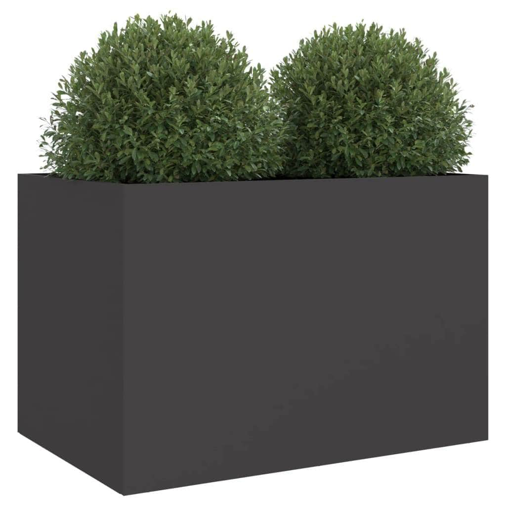 Planter Black Cold-rolled Steel