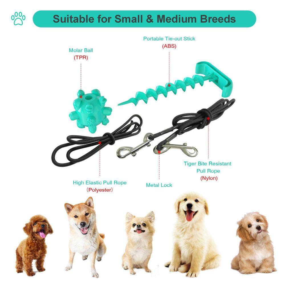 Portable Dog Tie-Out Stick Set Outdoor Interactive Tug Of  War Toy