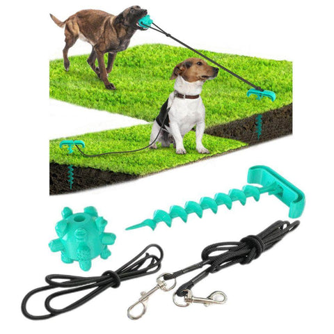 Portable Dog Tie-Out Stick Set Outdoor Interactive Tug Of  War Toy