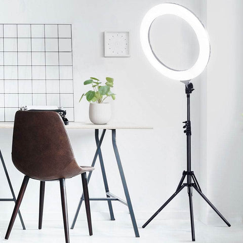 Ring Light 19" Tripod Stand Silver