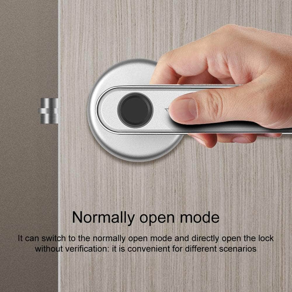 Smart Fingerprint Door Lock Electronic Handle Digital Bluetooth Key APP