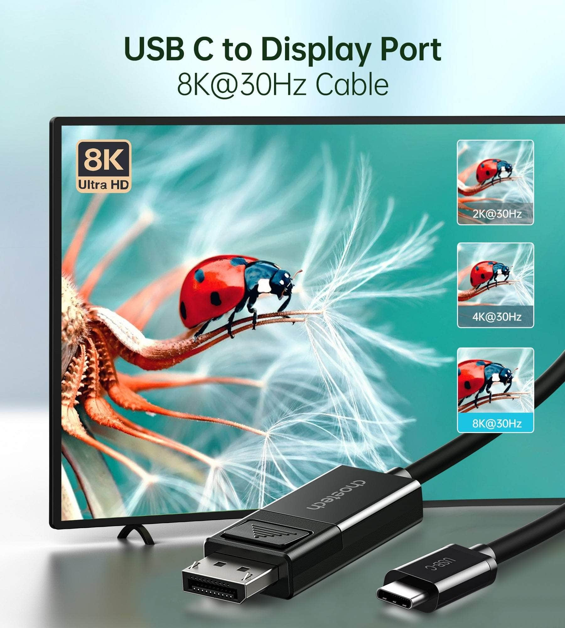 USB-C To DisplayPort Cable