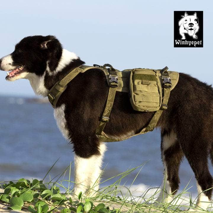 Whinhyepet Military Harness Army Green L