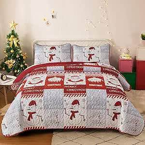 Winter Wonderland snowman santa Christmas Queen Bedspread Set