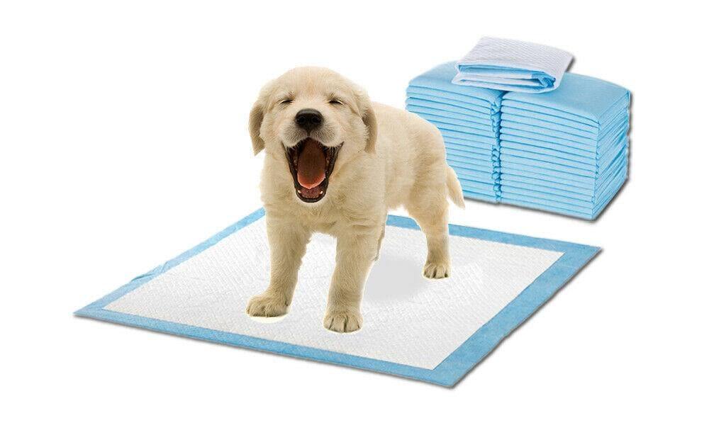 pet products 400pcs 60x60cm Puppy Pet Dog Indoor Cat Toilet Training Pads Absorbent New