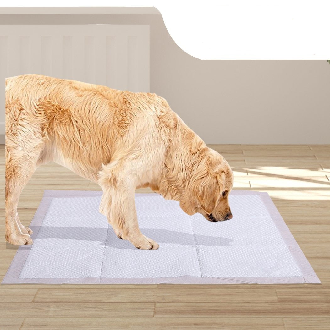 pet products 50 X Pet Training Toilet Pad