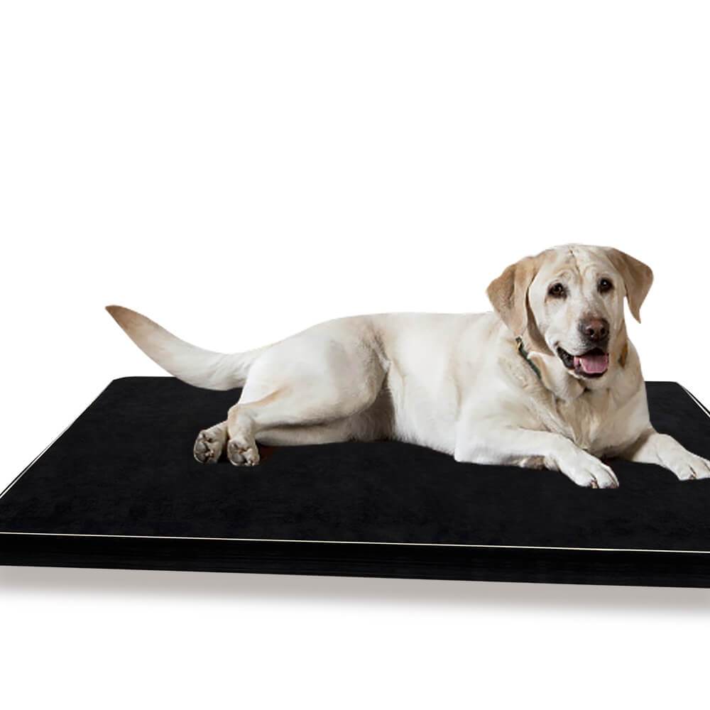 pet products 5Cm Memory Foam Orthopaedic Pet Bed Xl