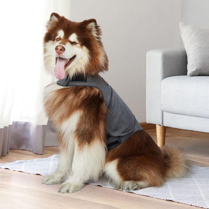 Breathable and soft Dog Thunder Anxiety Jacket XXL