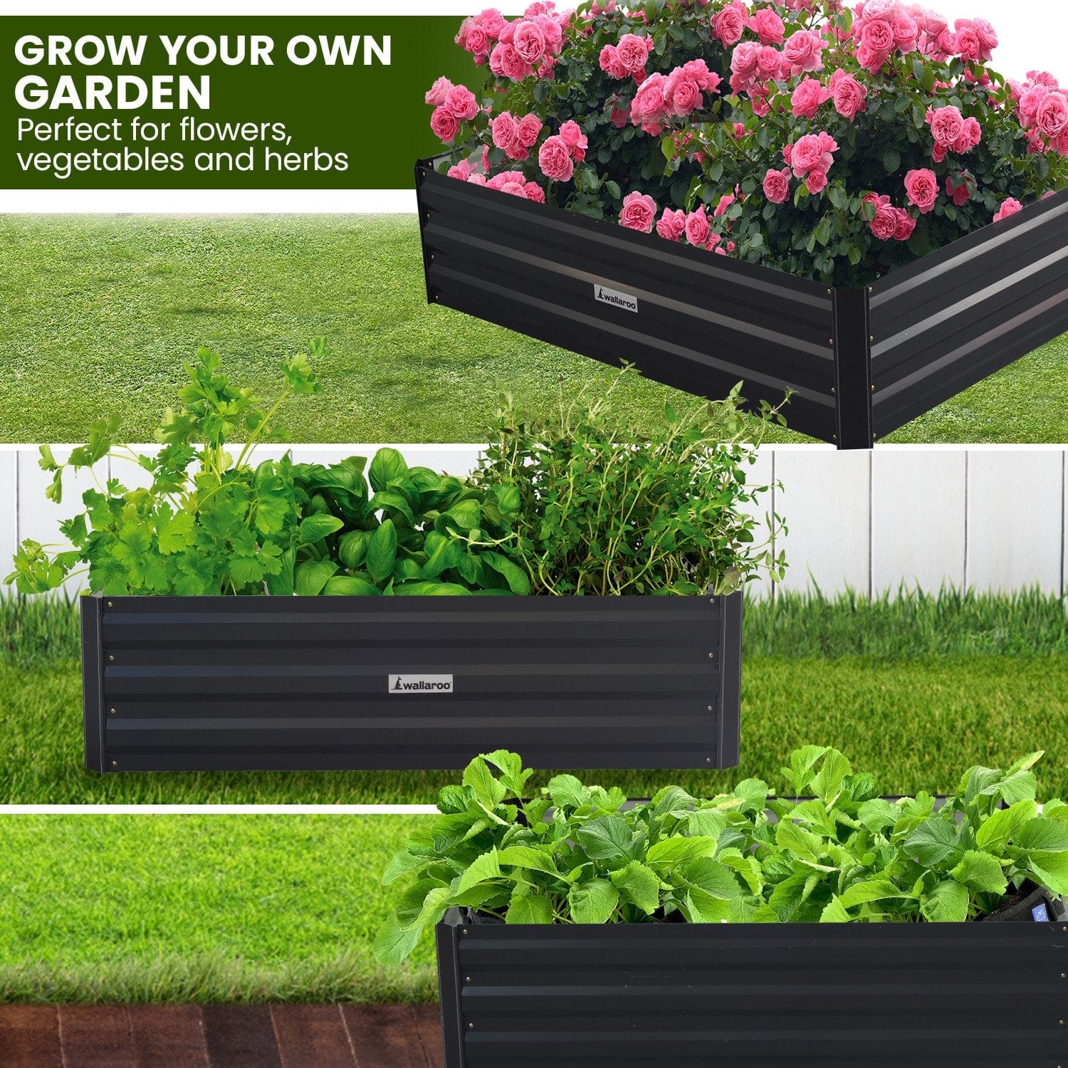 Garden Bed 100 x 60 x 30cm Galvanized Steel - Black