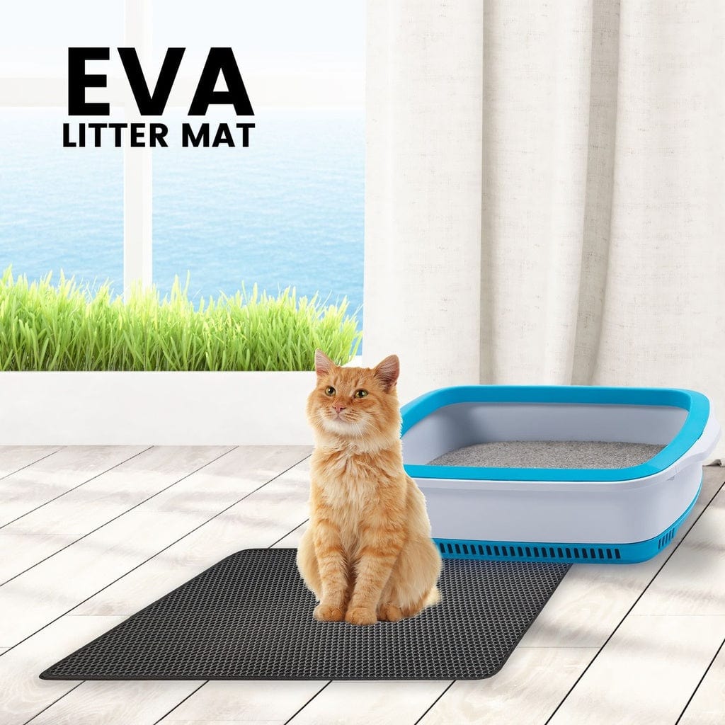 Litter Mat Cat