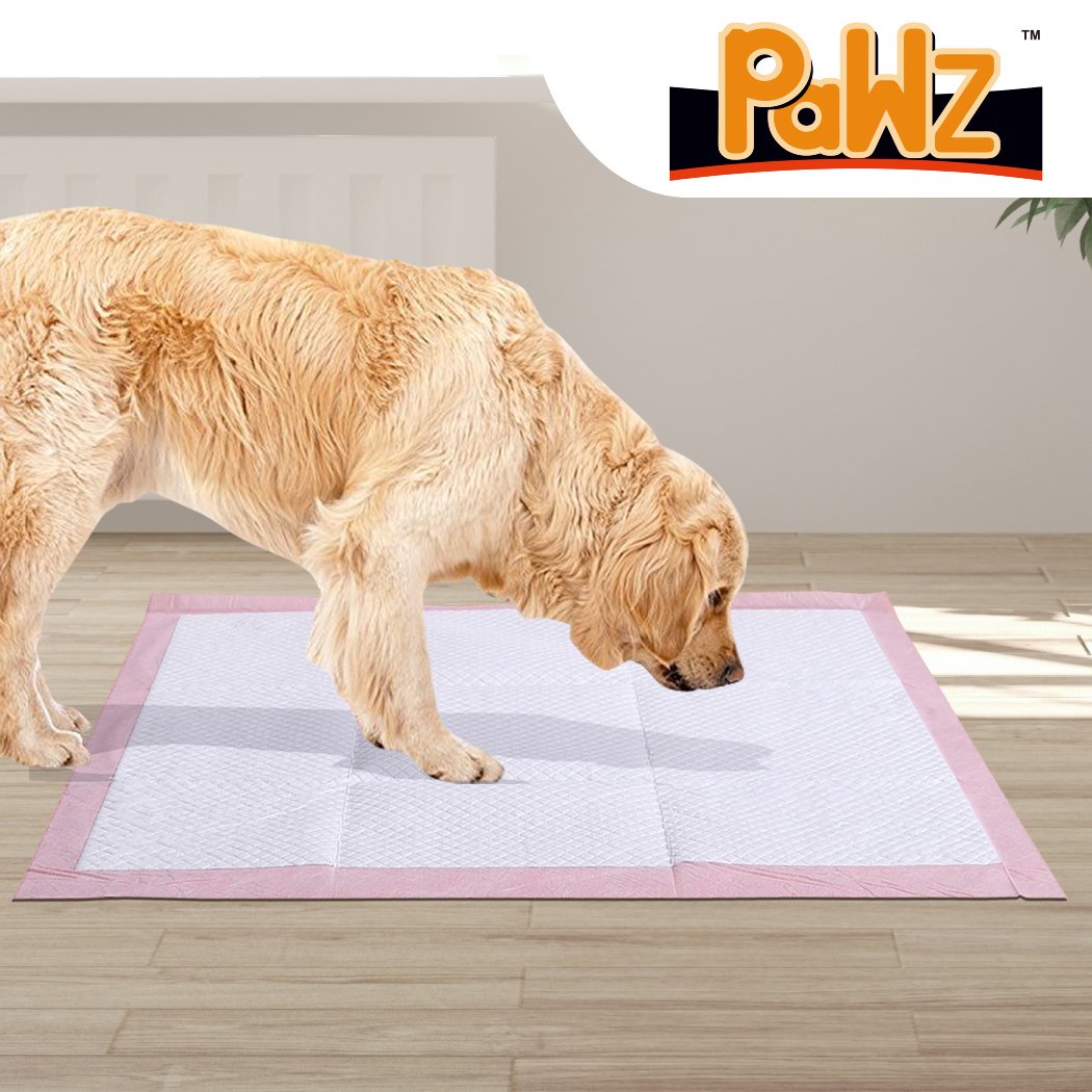 Pet Training Pads 200Pcs