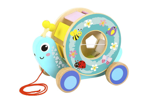 Pull Along Snail With Rolling Wheel & Blocks