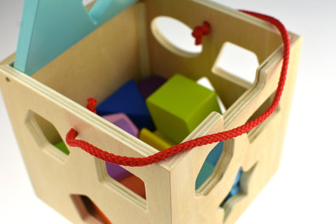 Shape Sorter With 12 Pcs Wooden Blocks