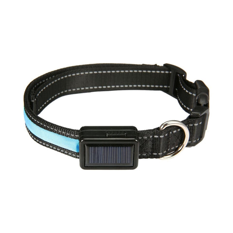 Solar Usb Rechargable Led Dog Collar (L Blue)