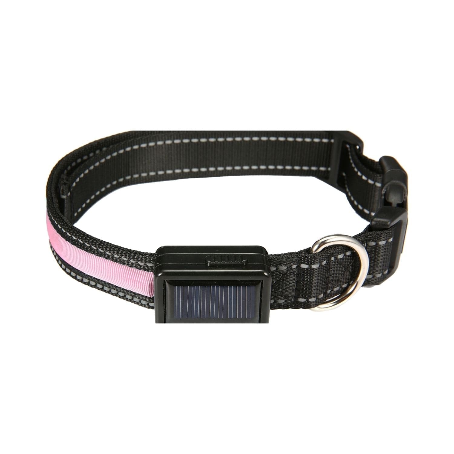 Solar USB Rechargable LED Dog Collar M/L