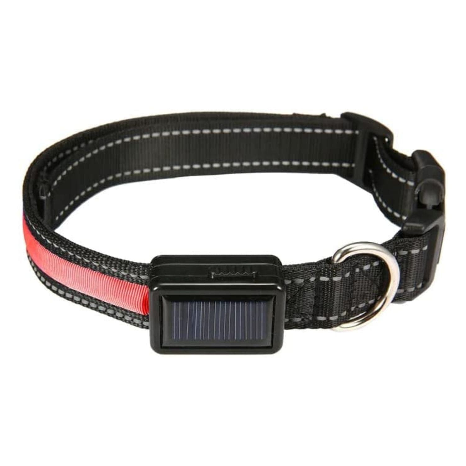 Solar USB Rechargable LED Dog Collar M/L