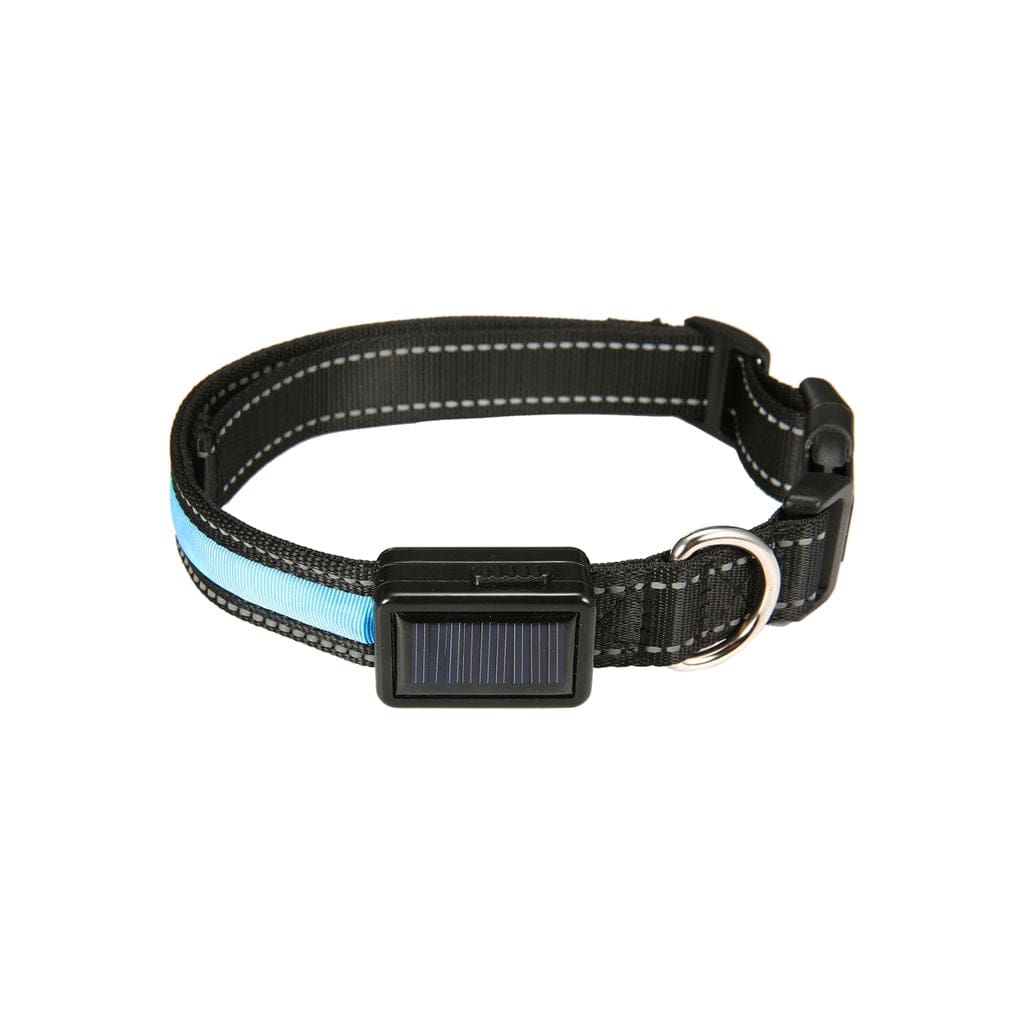 Solar USB Rechargable LED Dog Collar M/L