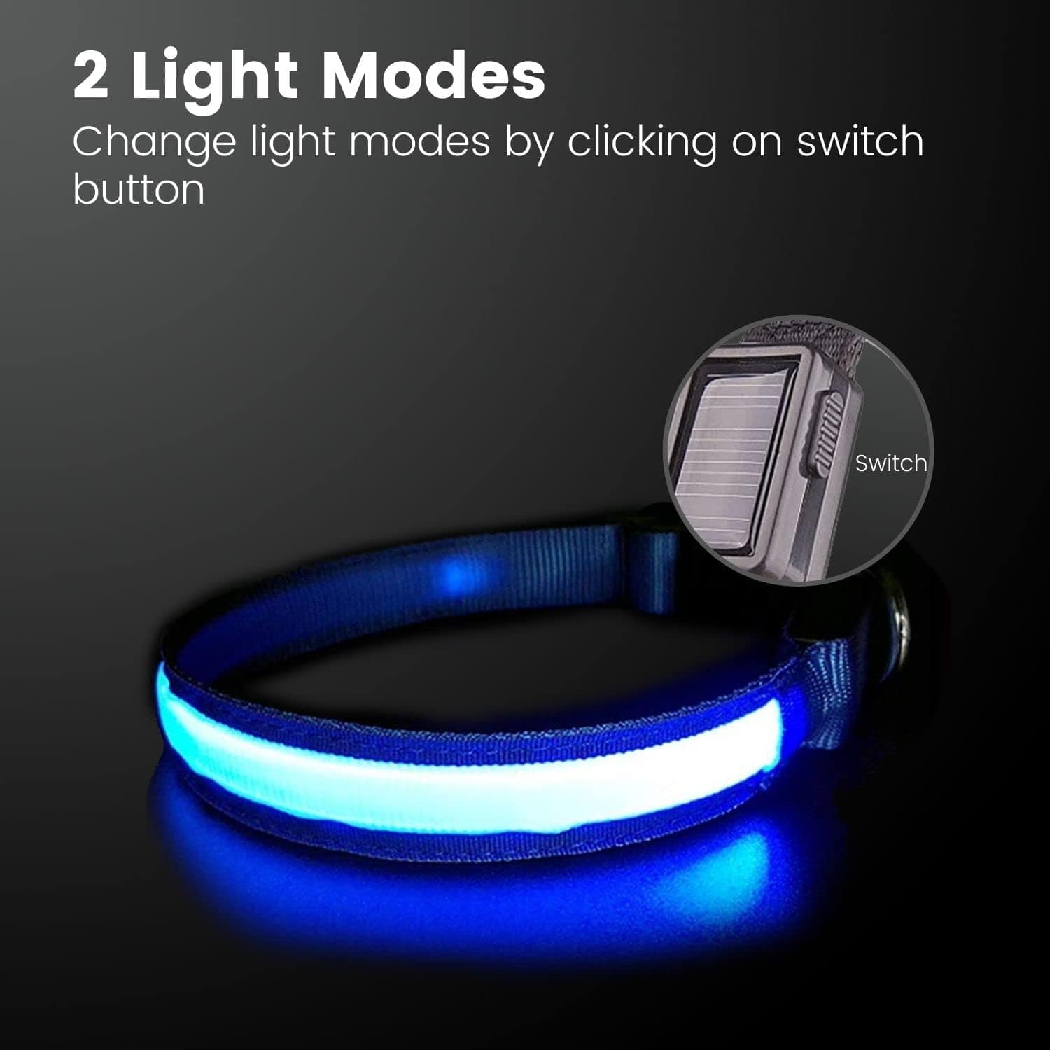 Solar USB Rechargable LED Dog Collar M/L