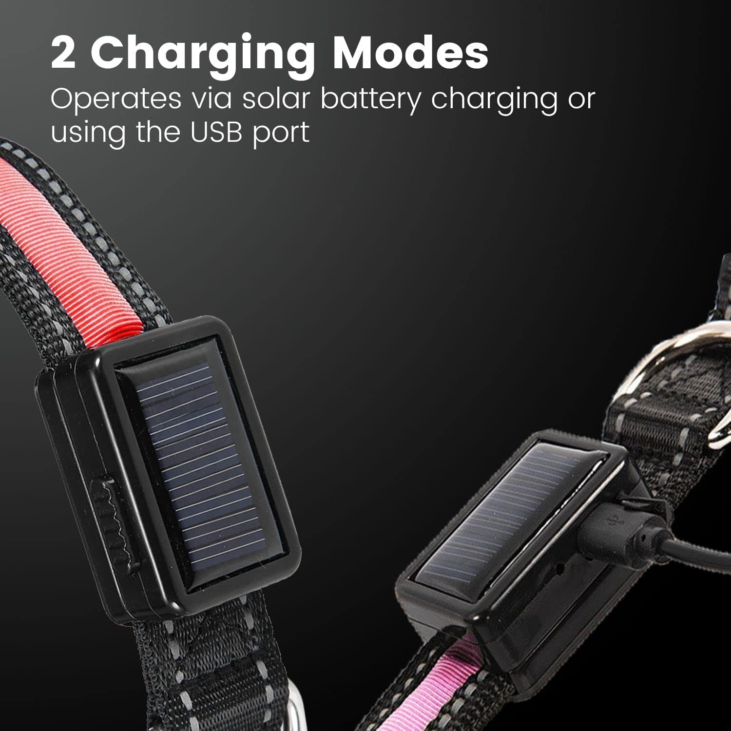 Solar USB Rechargable LED Dog Collar M/L