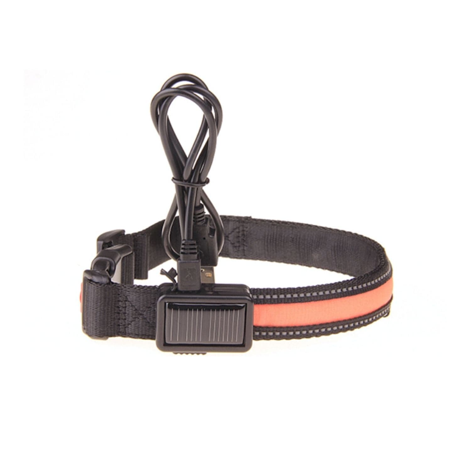 Solar USB Rechargable LED Dog Collar M/L