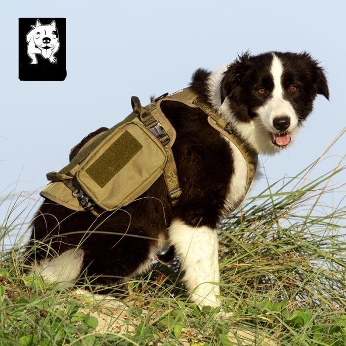 M Whinhyepet Military Harness Army Green