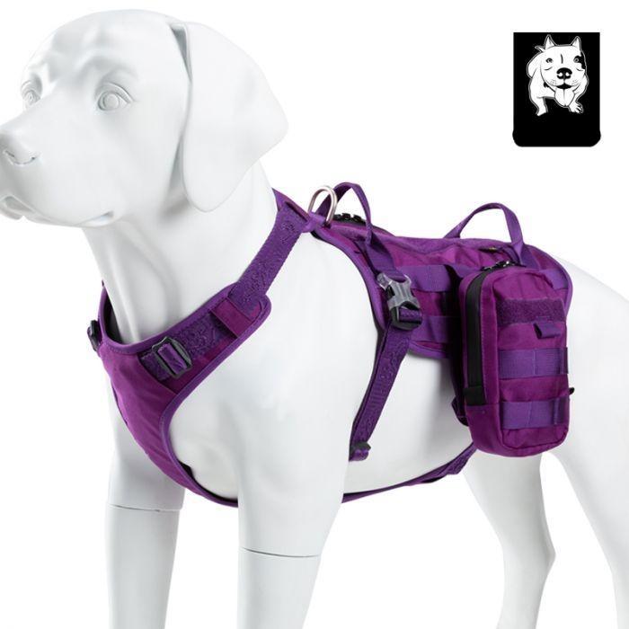 M Whinhyepet Military Harness Purple